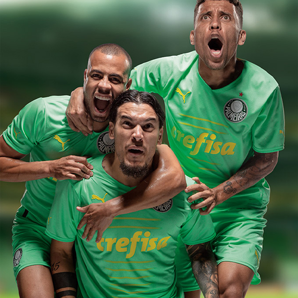 FootballShirtCulture.com on X: Palmeiras, the São Paulo-based current  Campeonato Brasileiro Série A champions, have unveiled their new 2024-25  Puma Home kit by Puma. Read more:  #SEPalmeiras  #Palmeiras #MaiorCampeãoDoBrasil