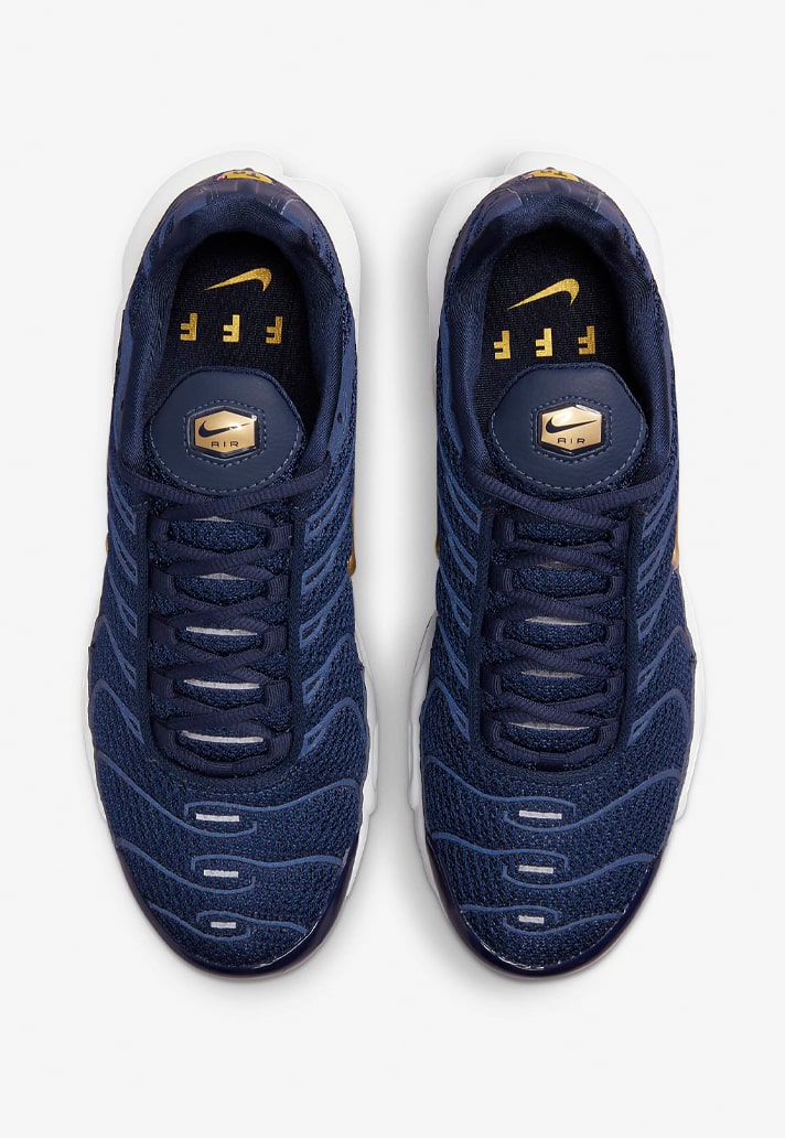 Nike Drop Air Max Plus 'France Football Federation' Edition - SoccerBible