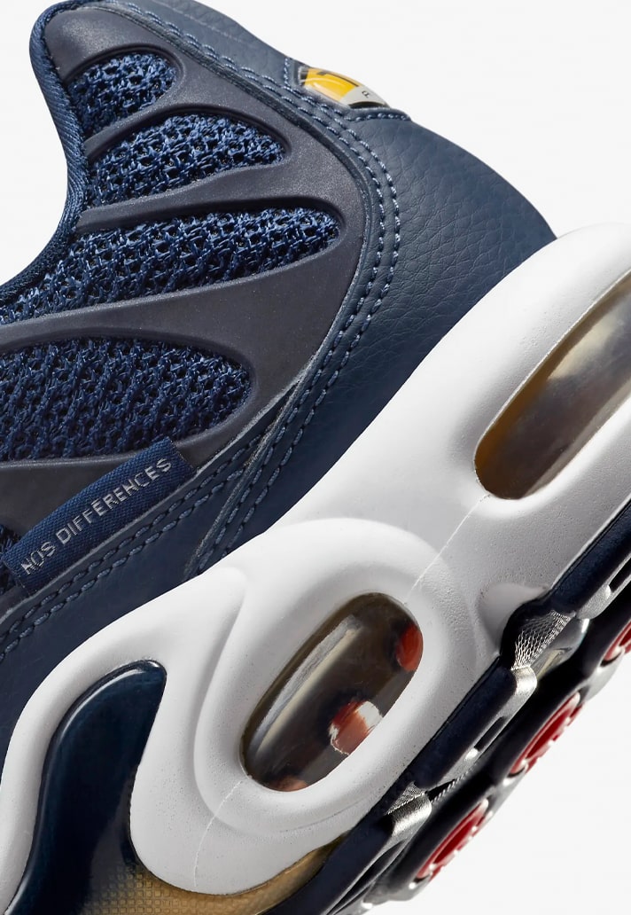 Nike Drop Air Max Plus 'France Football Federation' Edition - SoccerBible